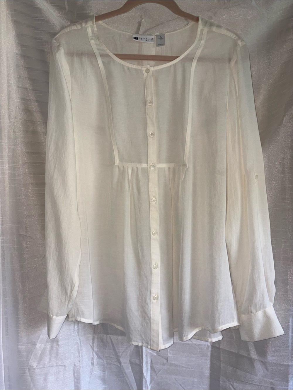 Beautiful, Sheer, Vintage Carol Little Blouse